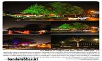 Trees lighting in boulevards and squares of third district of municipality