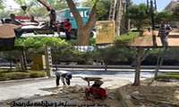 The restoration of marginal park of 15ht of Khordad boulevard